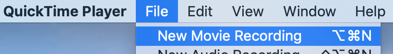 Quicktime Player's New Movie Recording feature.