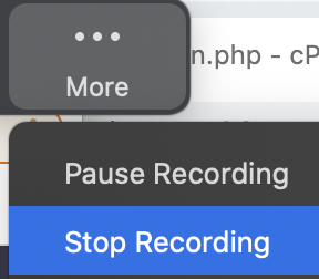 Zoom stop recording.